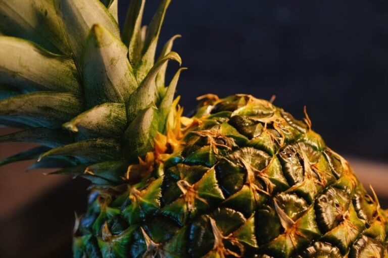 Jak ukorzenić ananasa w domu