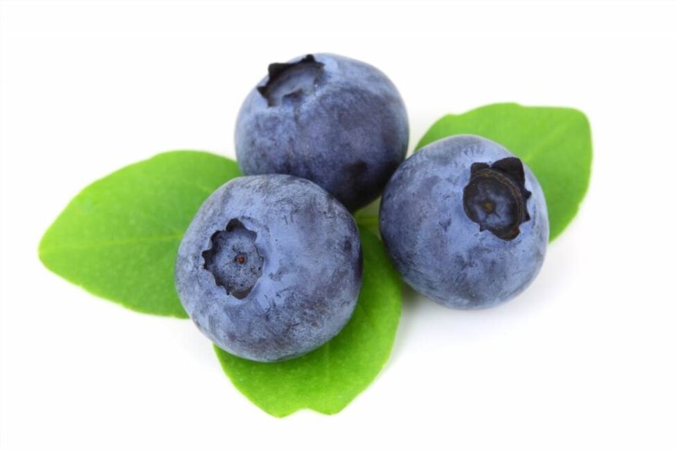 Sposoby na zwiększenie efektywności zbierania jagód